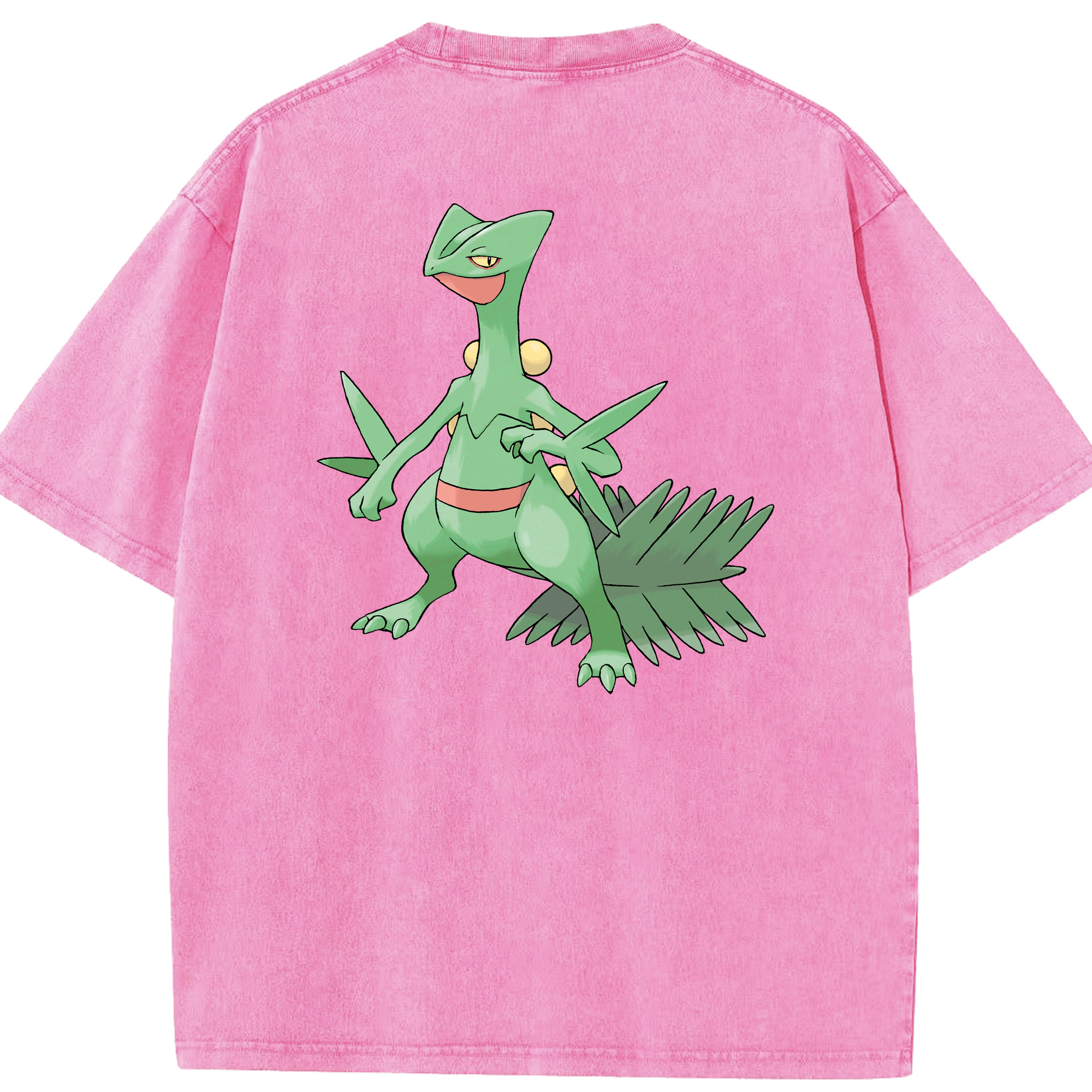 （画像用） ポケットモンスター Pokémon 綿100% ヴィンテージ風 半袖Tシャツ（背面プリント）